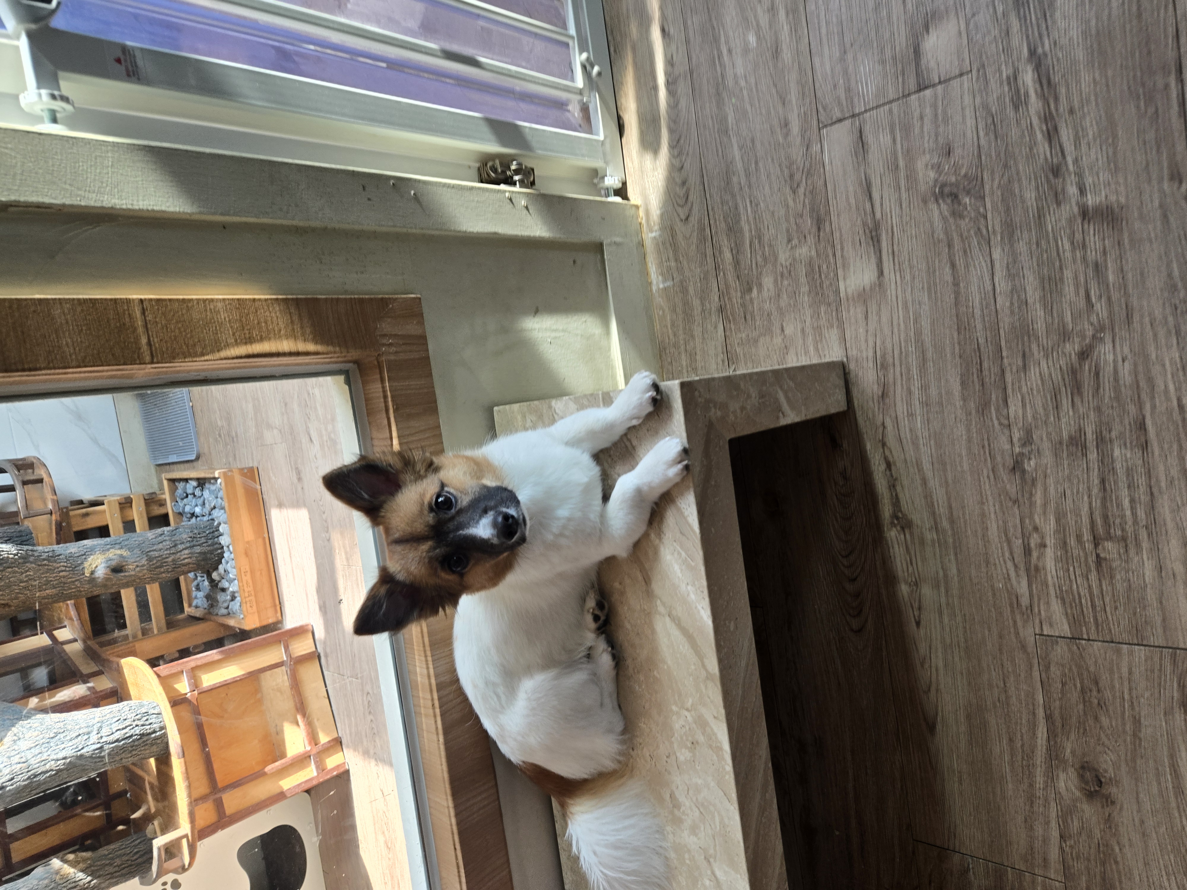 KakaoTalk_20260131_151213504