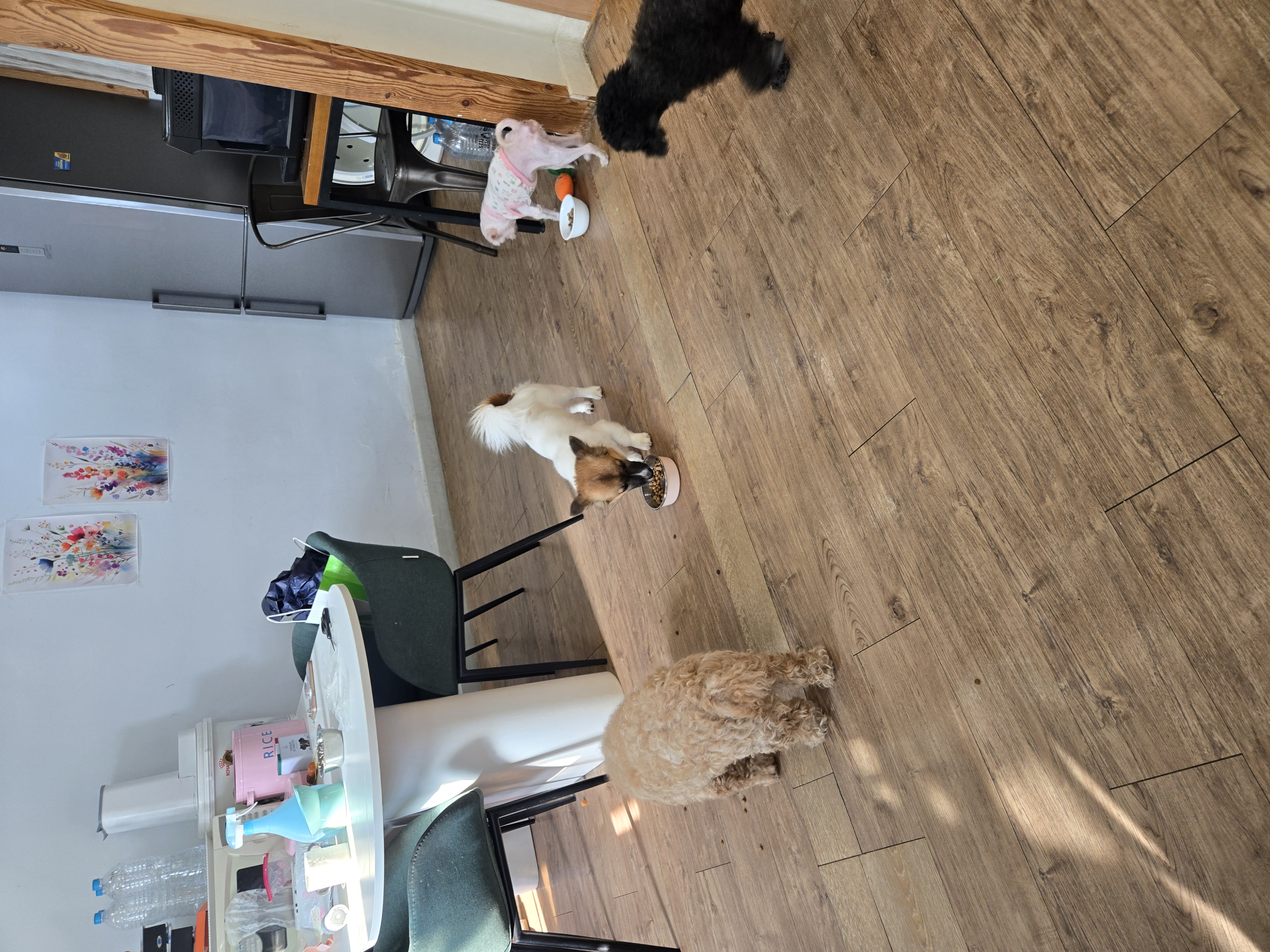 KakaoTalk_20260131_151213504_04