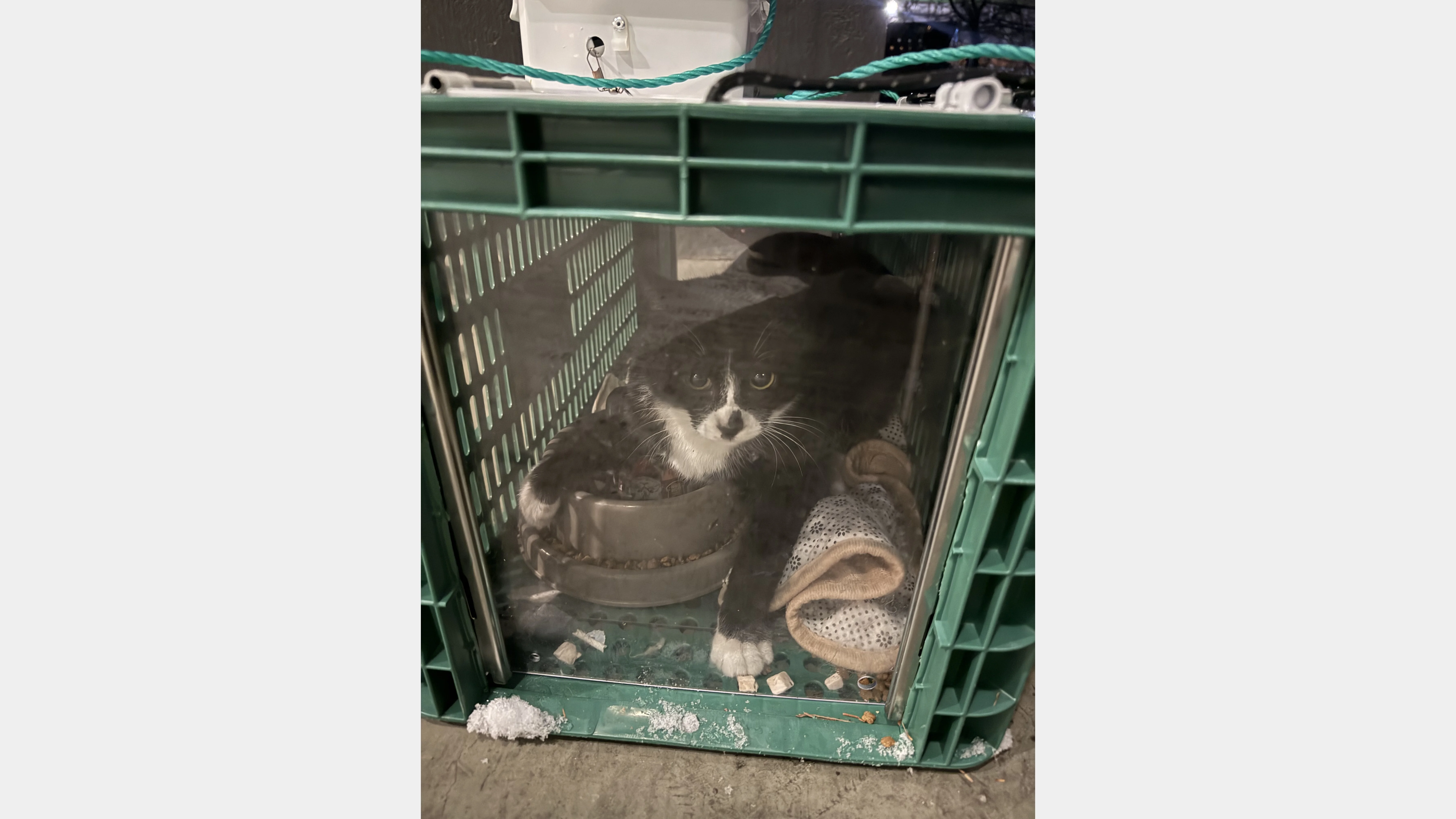 KakaoTalk_20260204_173451081