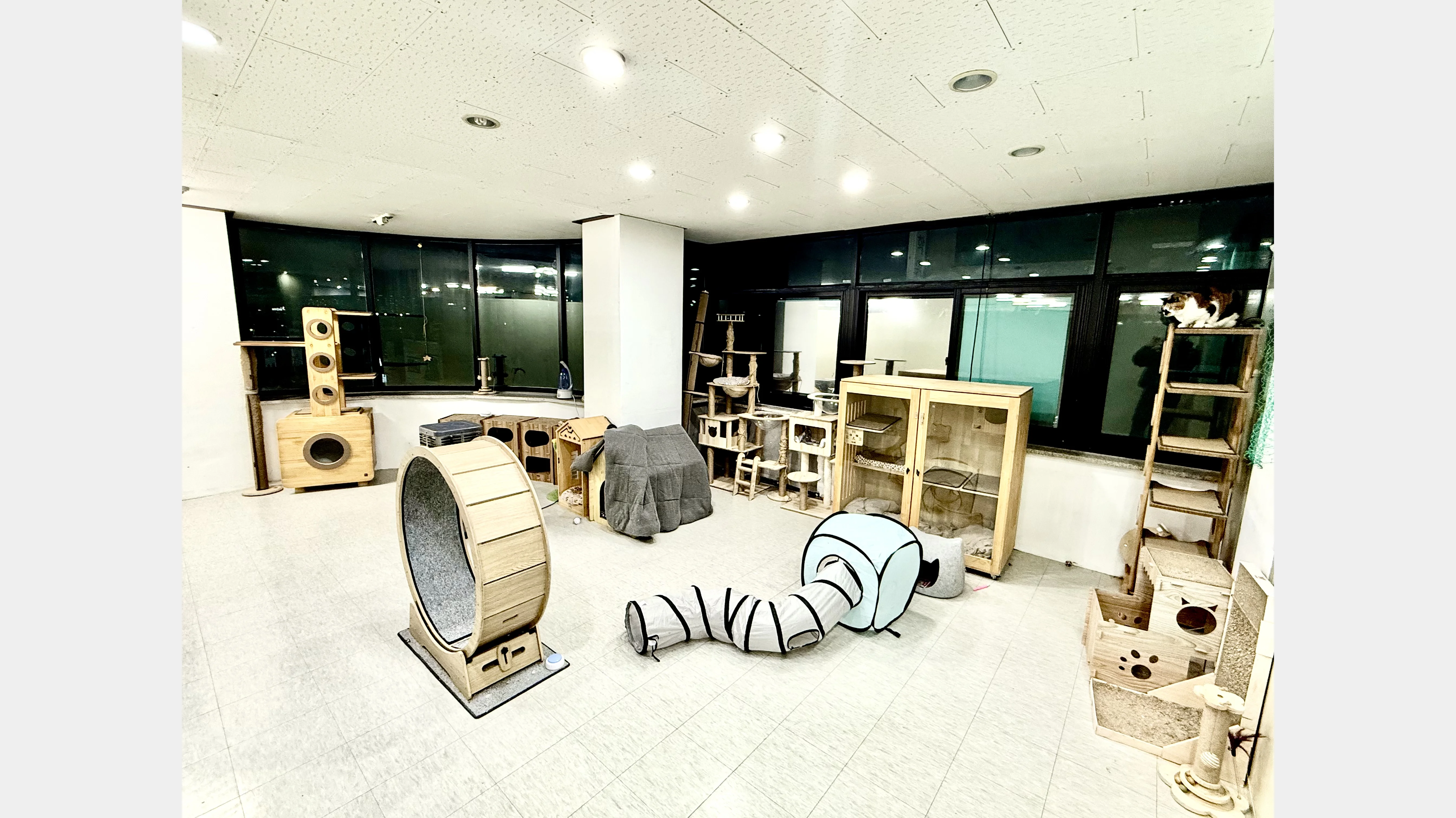 KakaoTalk_20260204_145939591_01