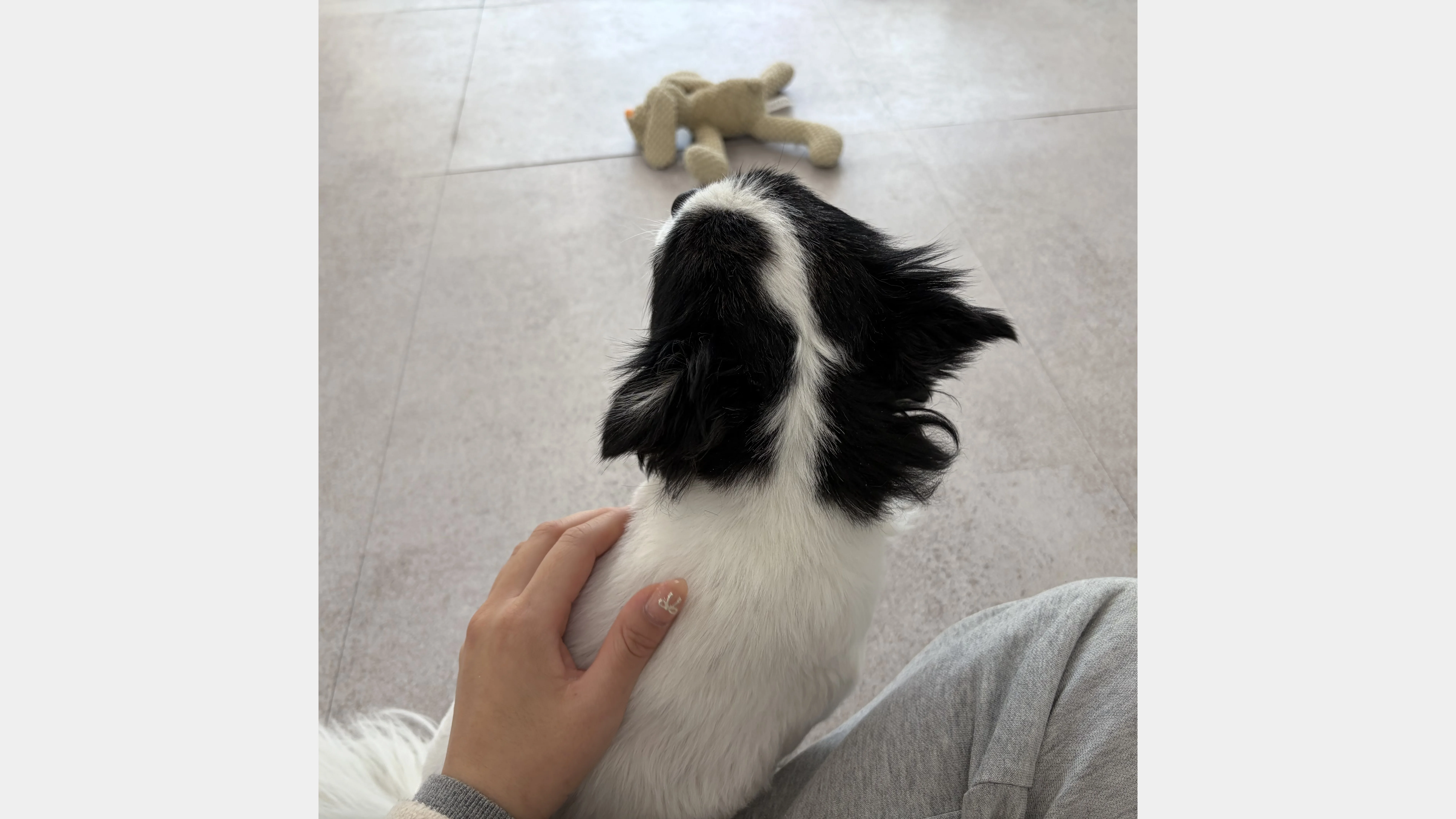 KakaoTalk_20260207_131652108_20