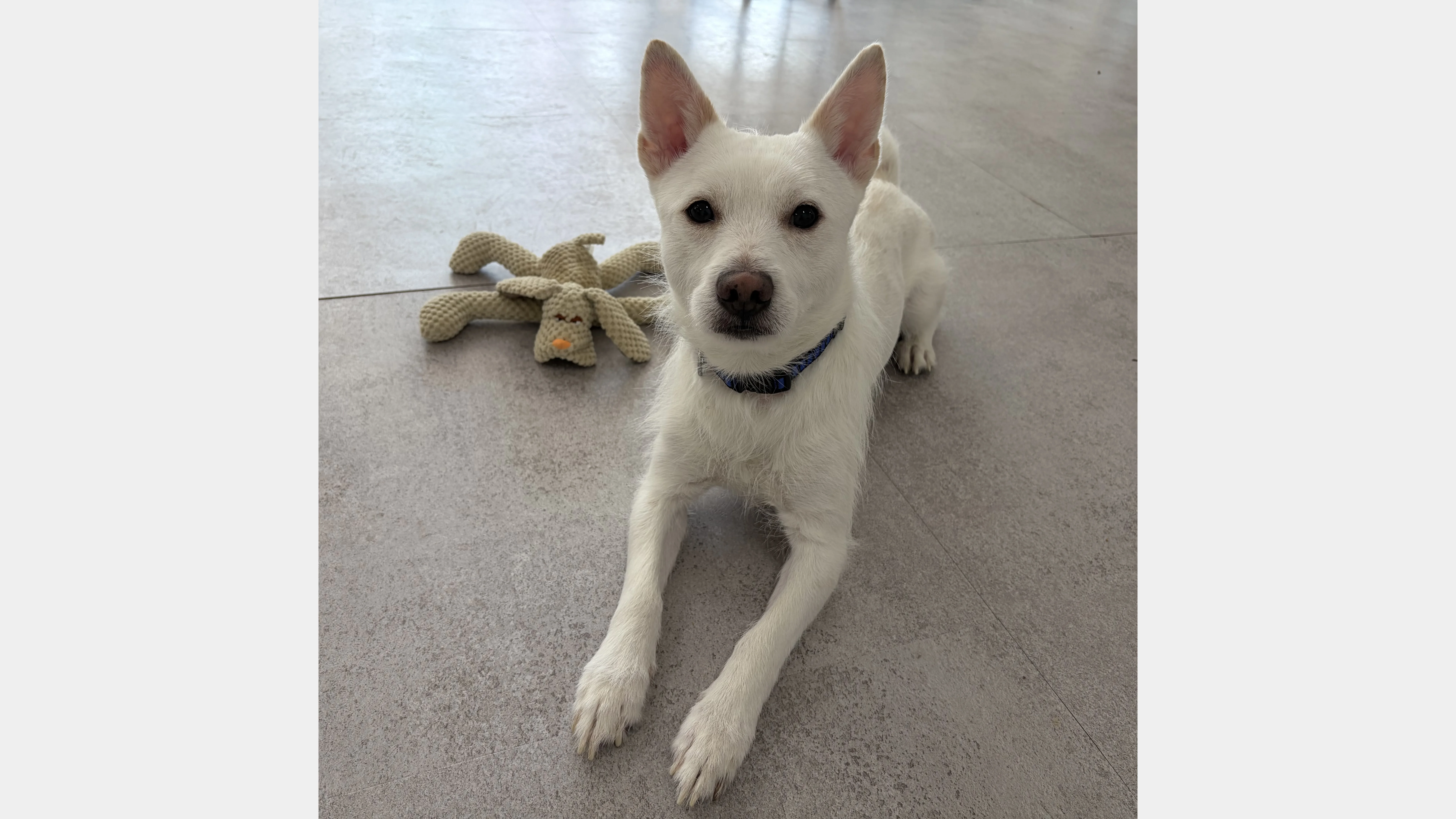 KakaoTalk_20260207_131652108_18