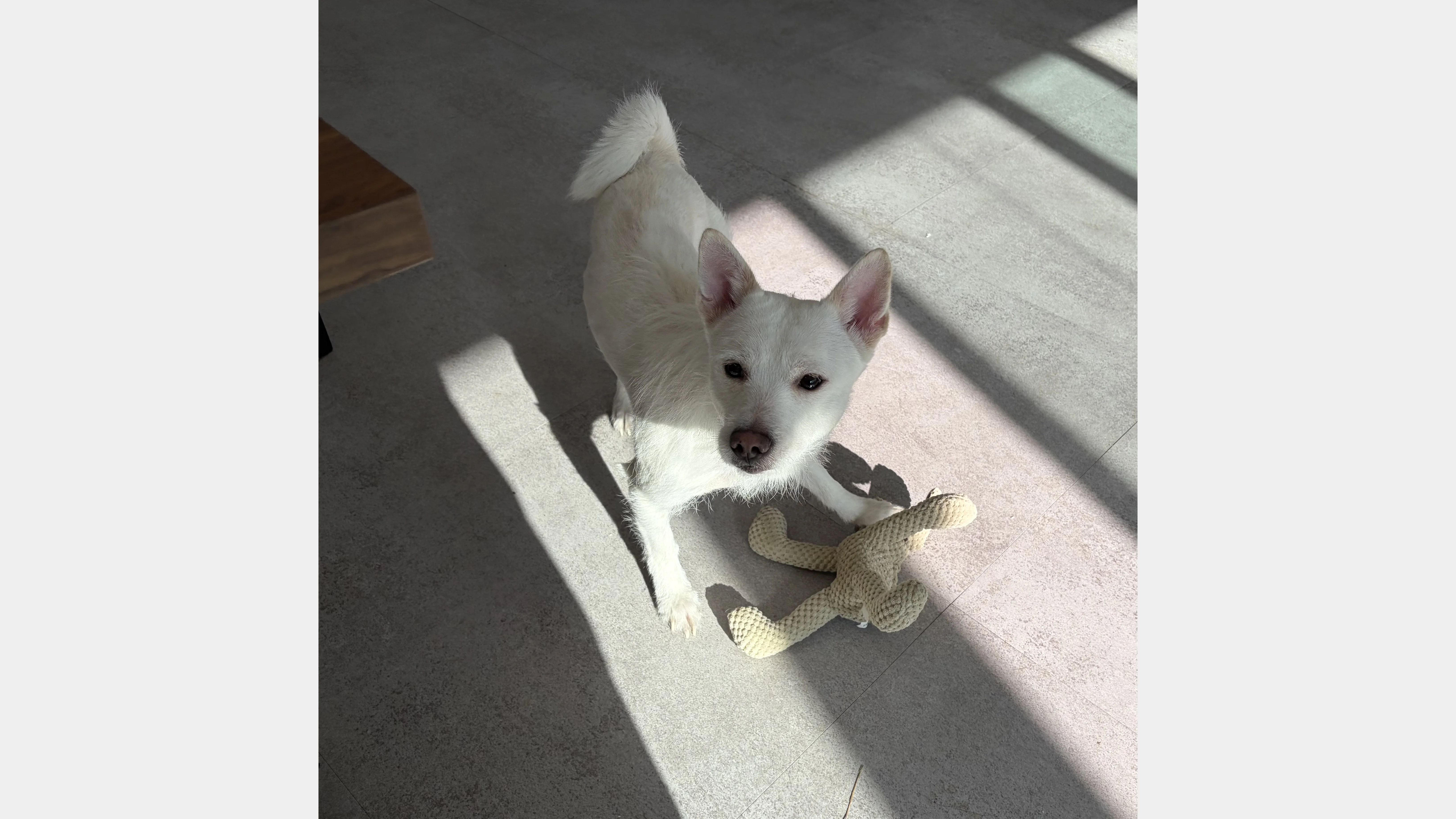 KakaoTalk_20260207_131652108_02