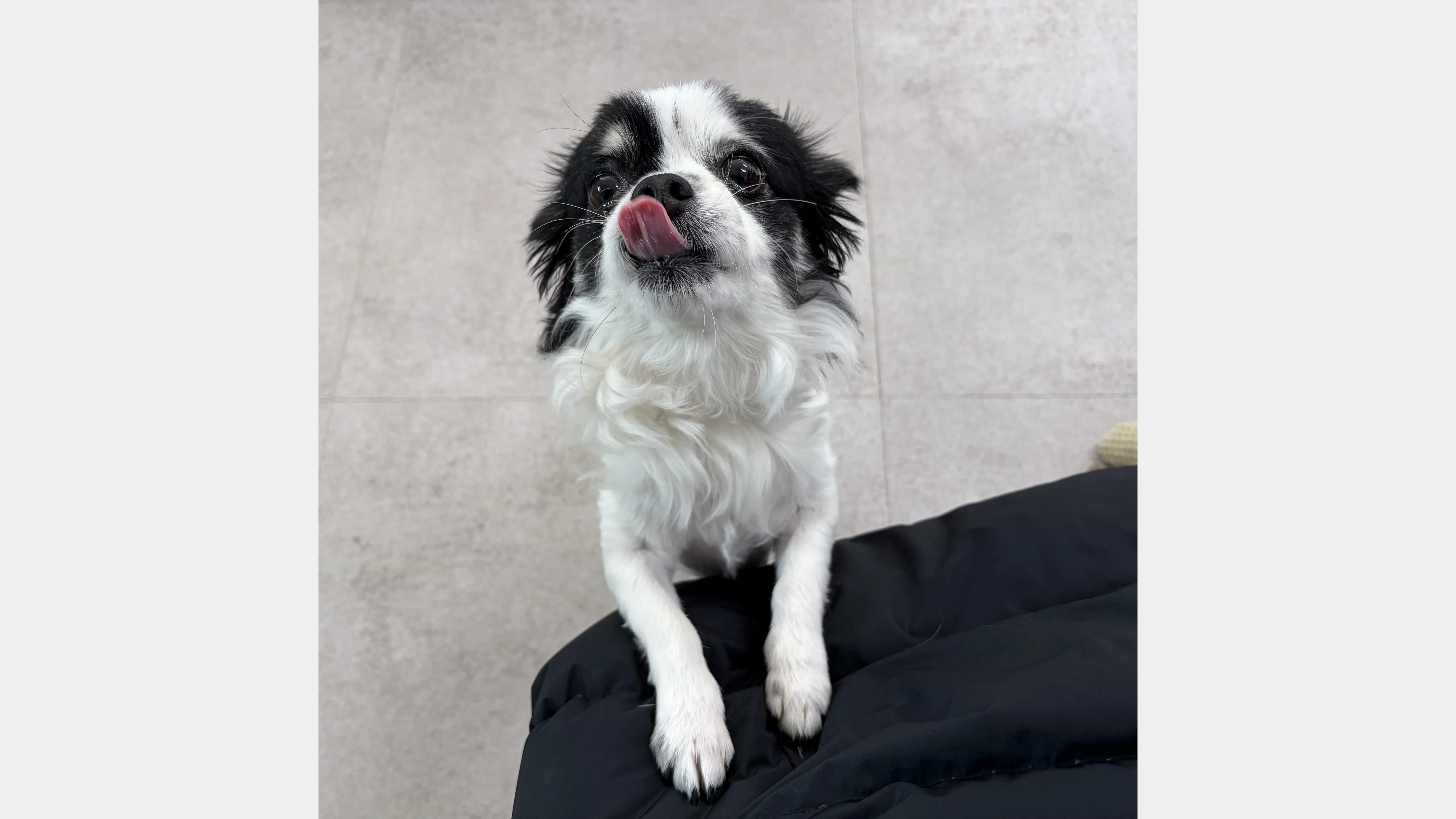 KakaoTalk_20260207_131652108_04