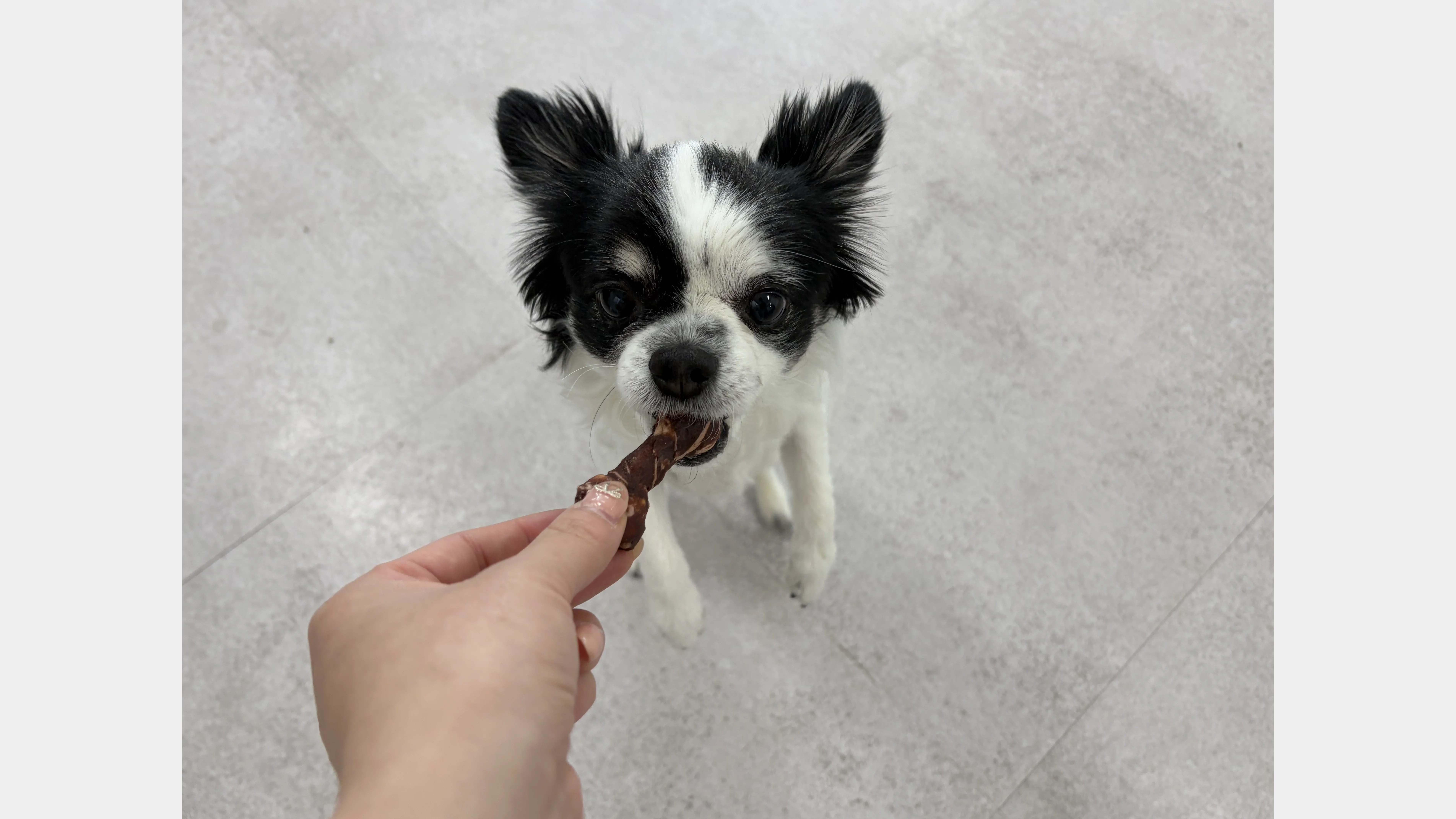 KakaoTalk_20260207_131656513_07