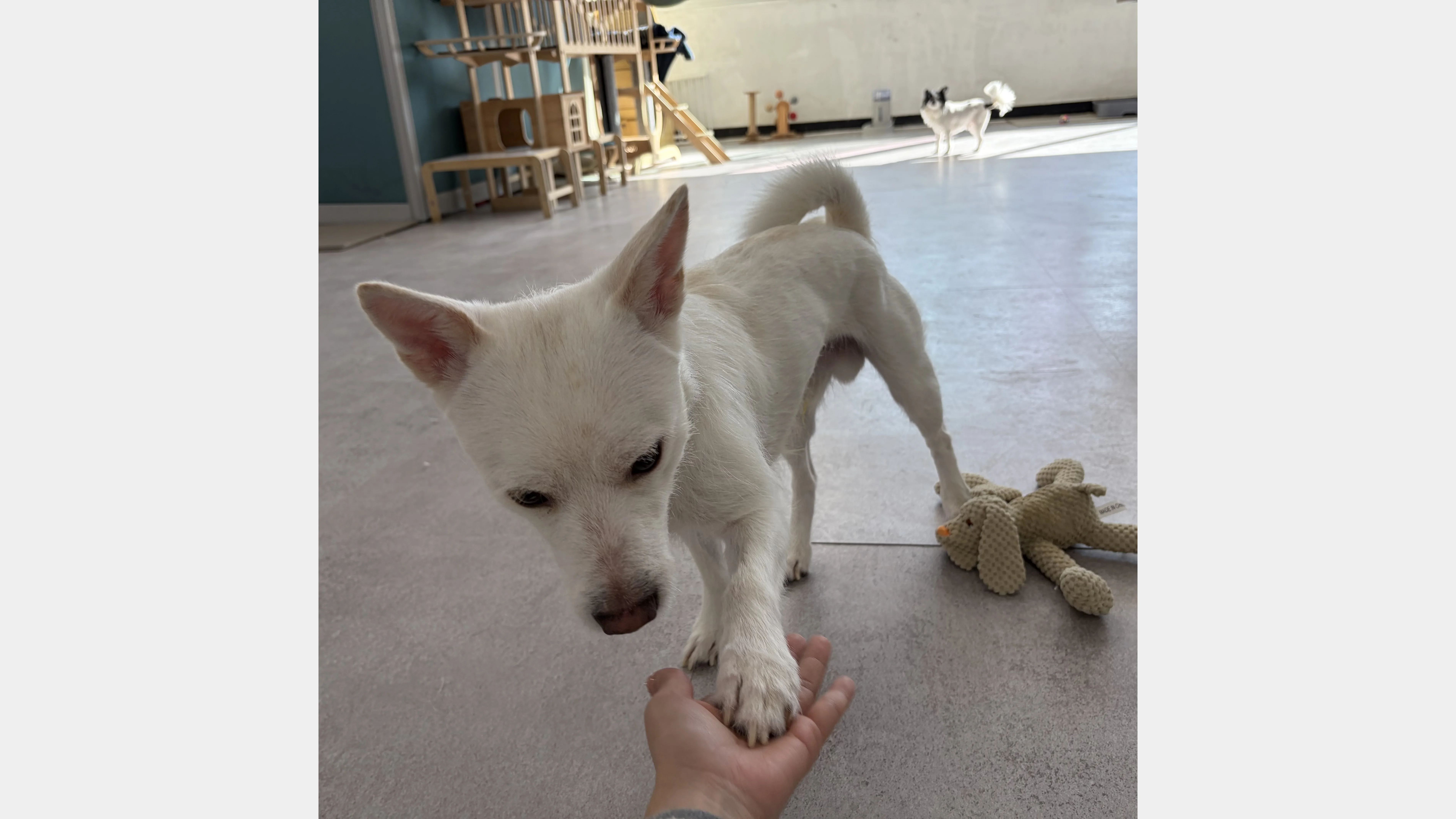 KakaoTalk_20260207_131652108_19