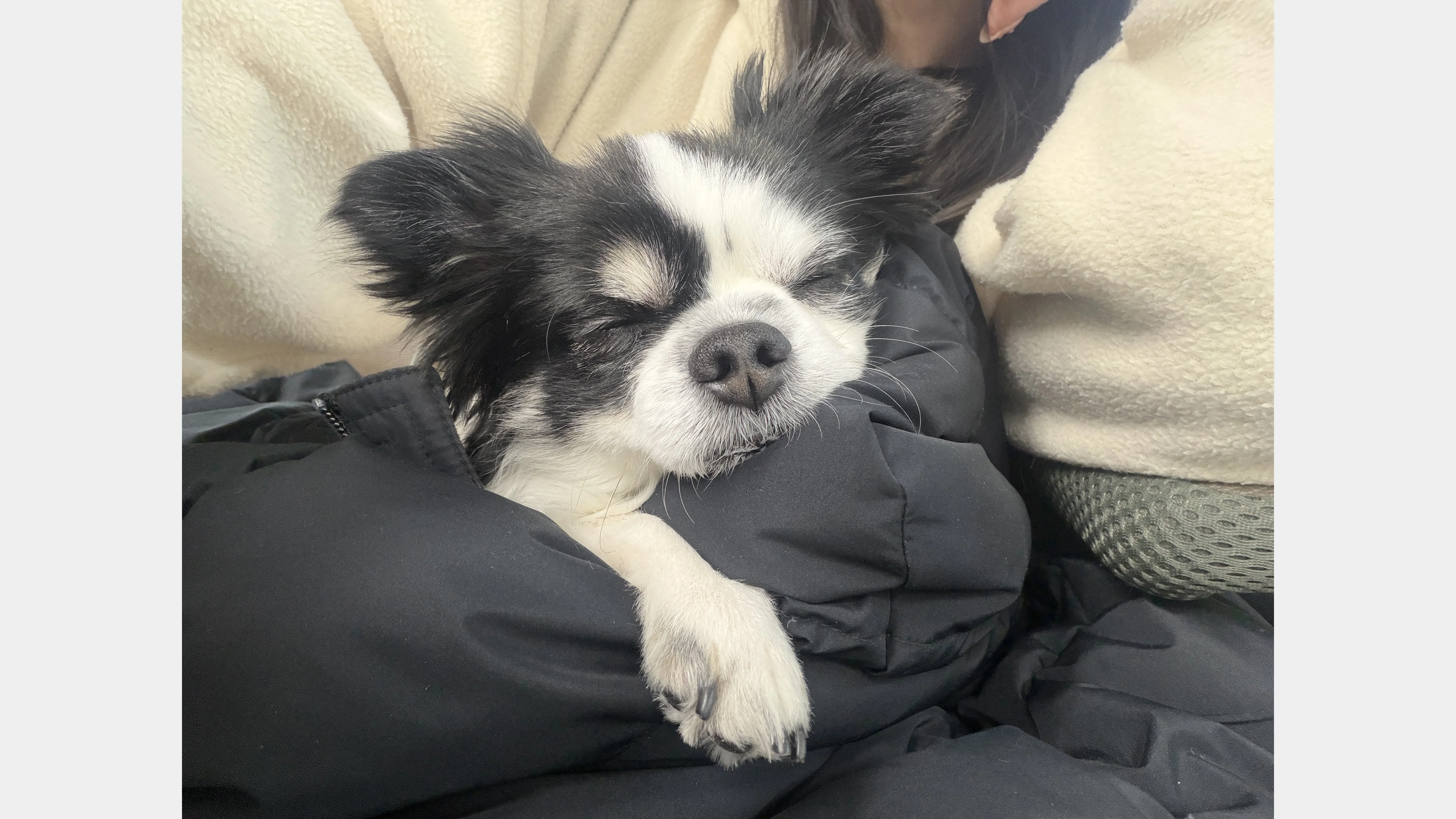 KakaoTalk_20260207_151752470_10