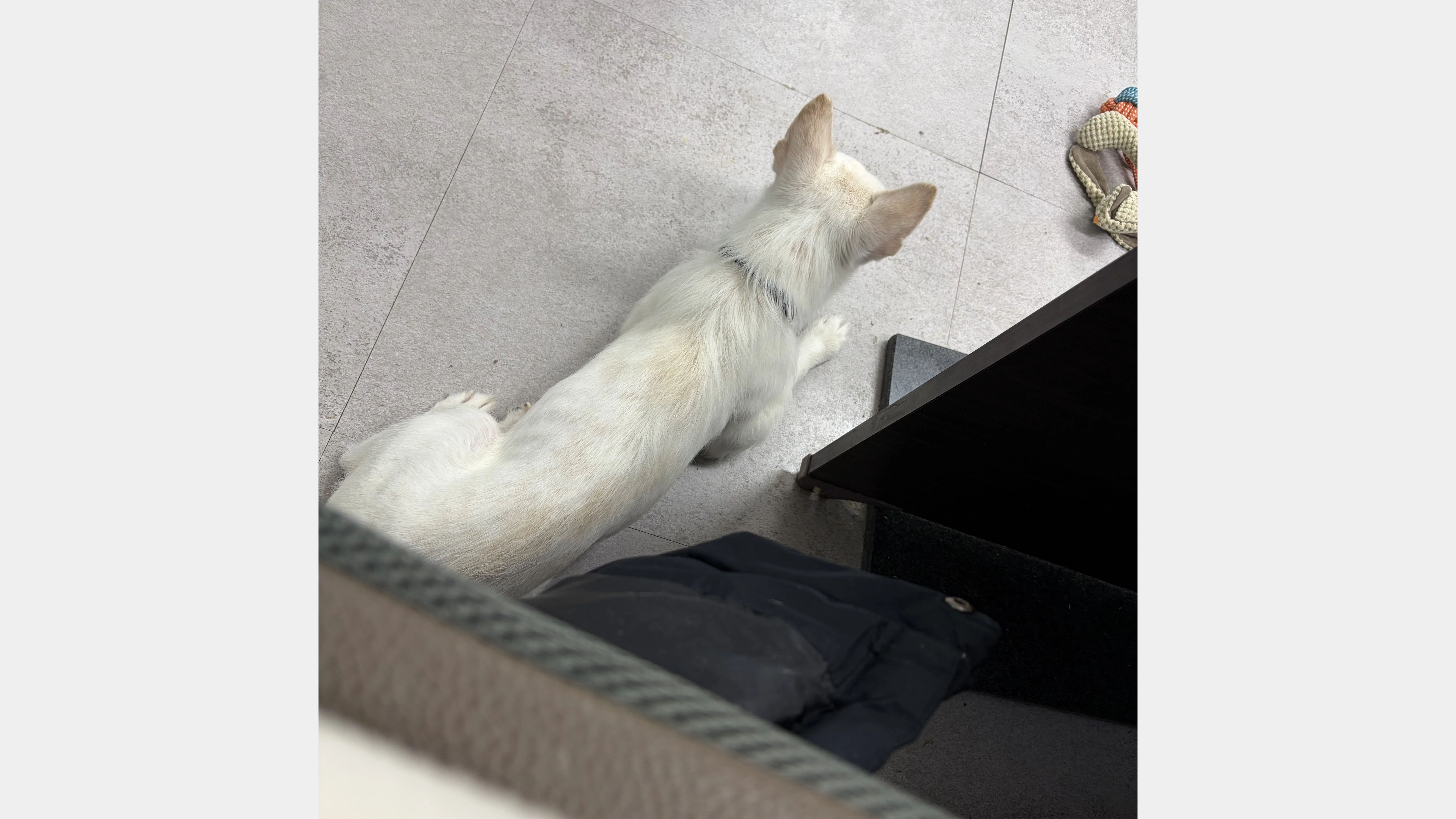 KakaoTalk_20260207_152335561