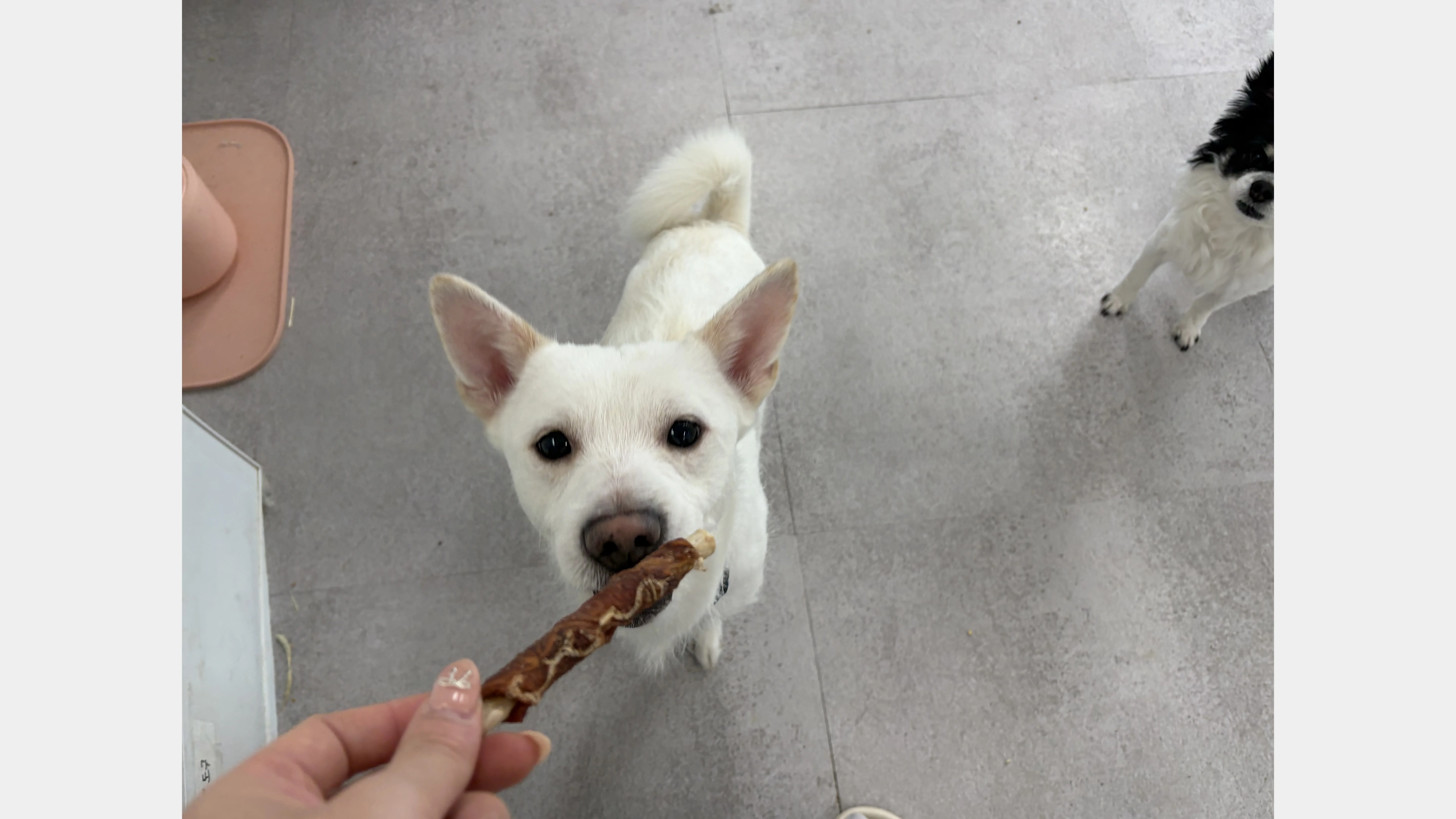 KakaoTalk_20260207_131656513_05