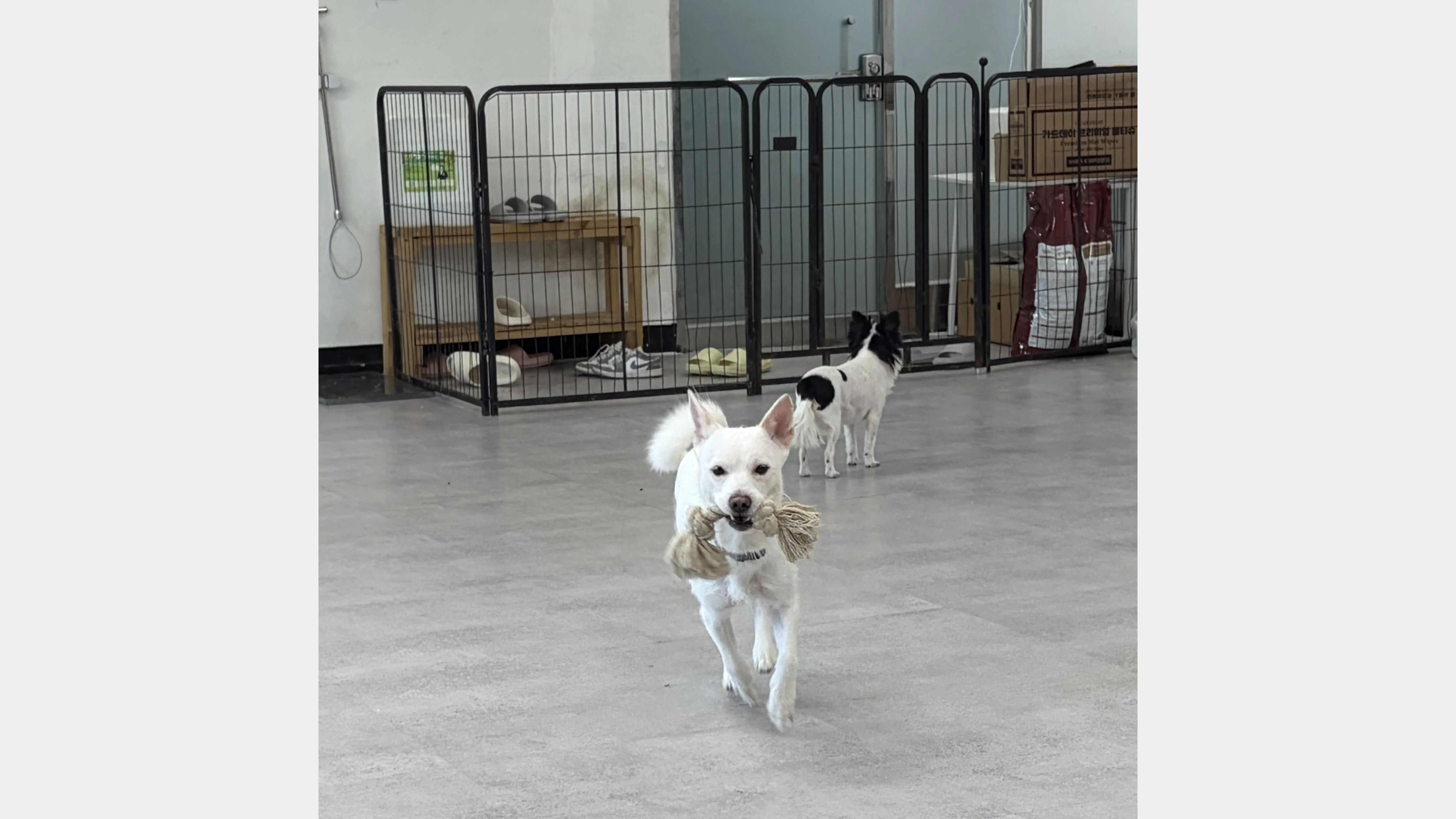 KakaoTalk_20260207_151752470_08