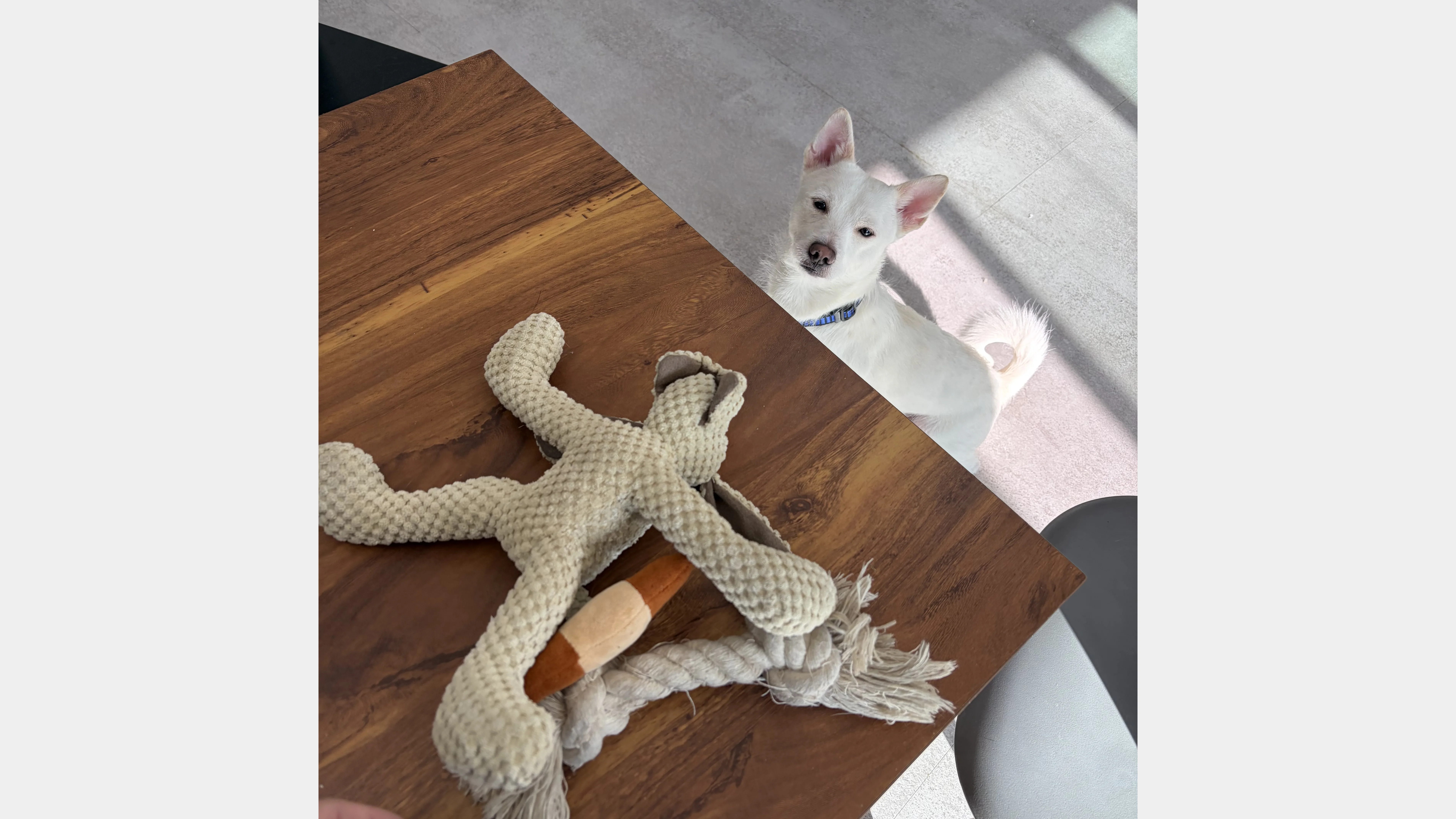 KakaoTalk_20260207_131652108