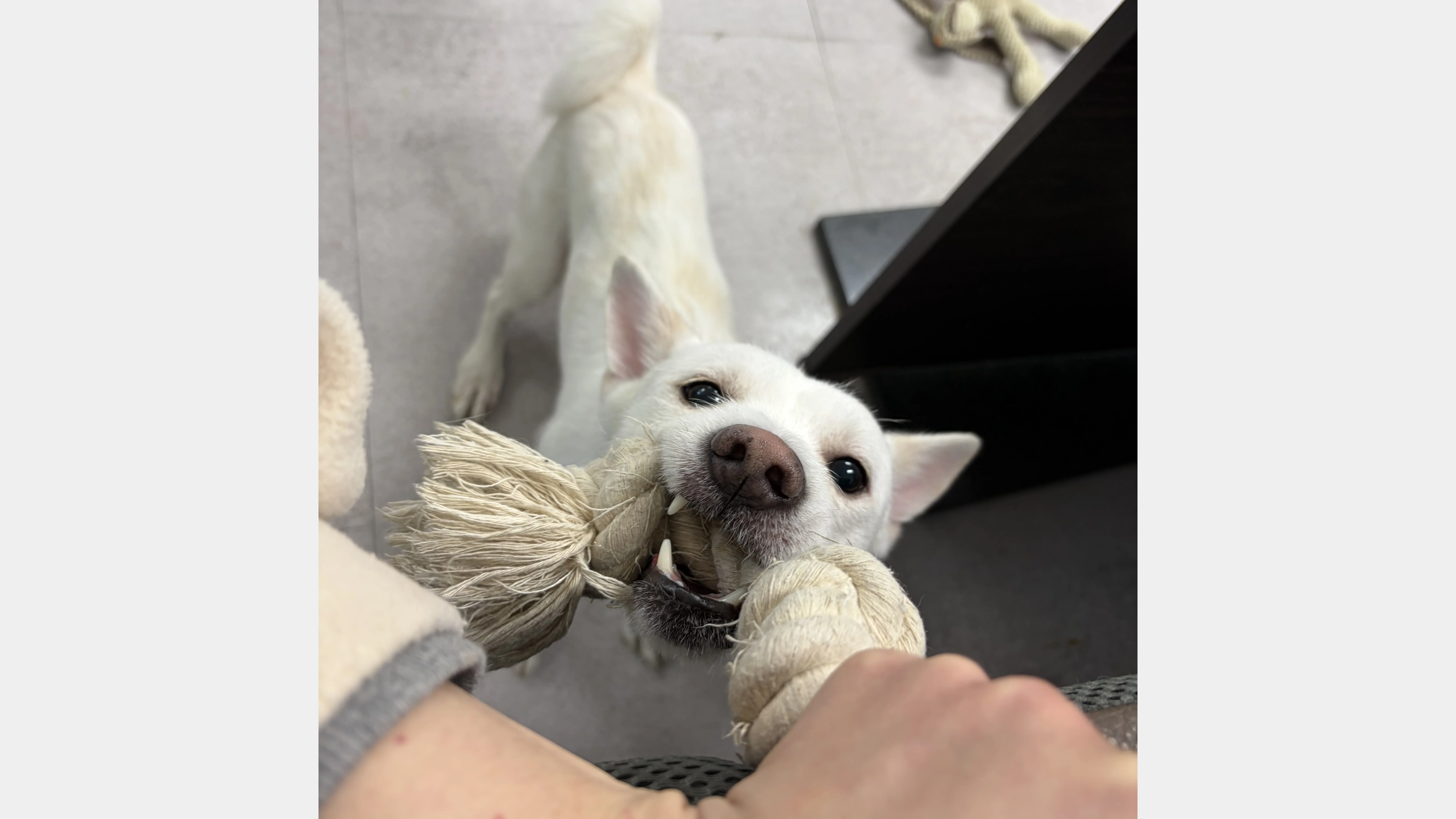 KakaoTalk_20260207_151752470_06