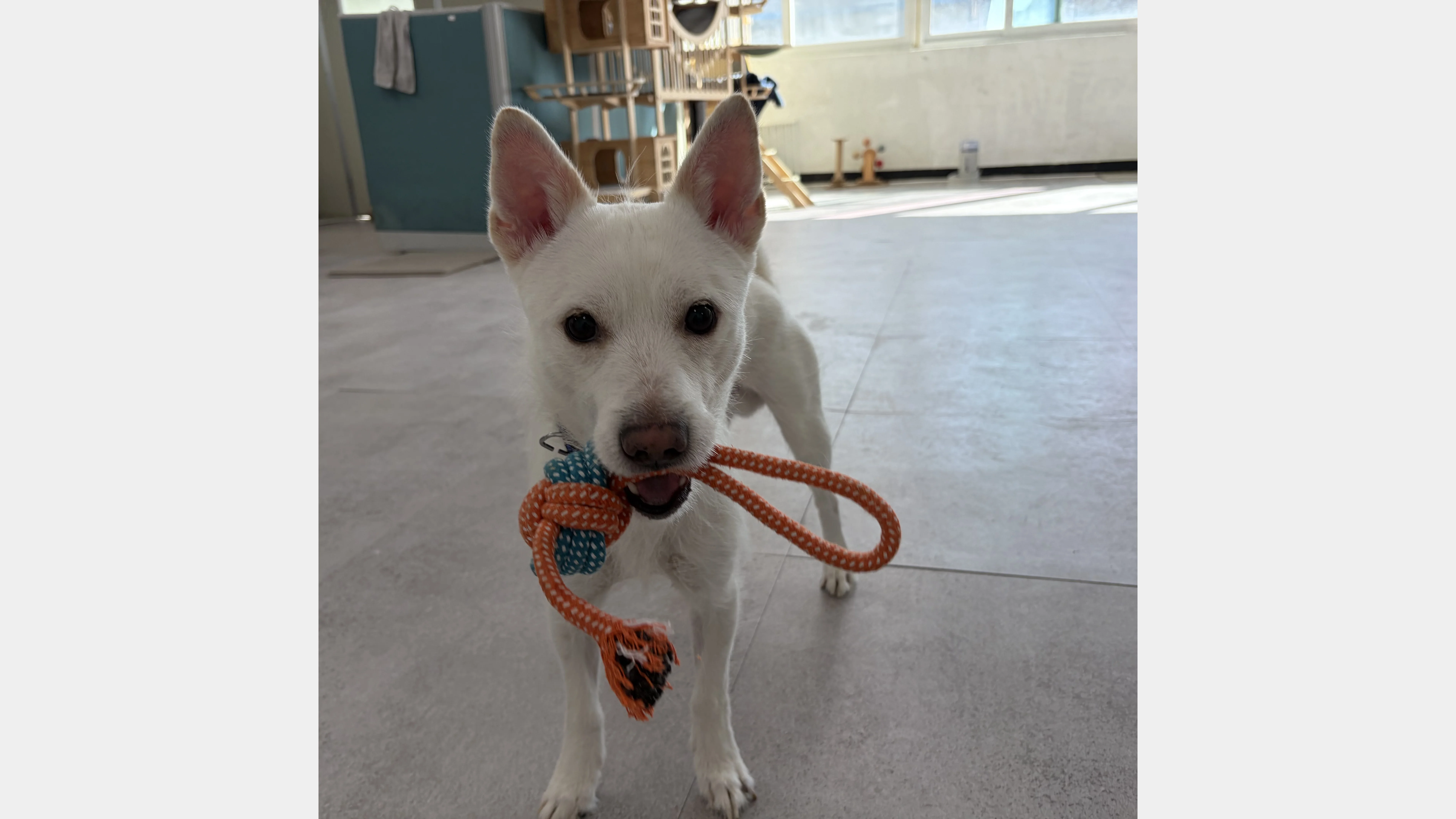 KakaoTalk_20260207_131652108_17