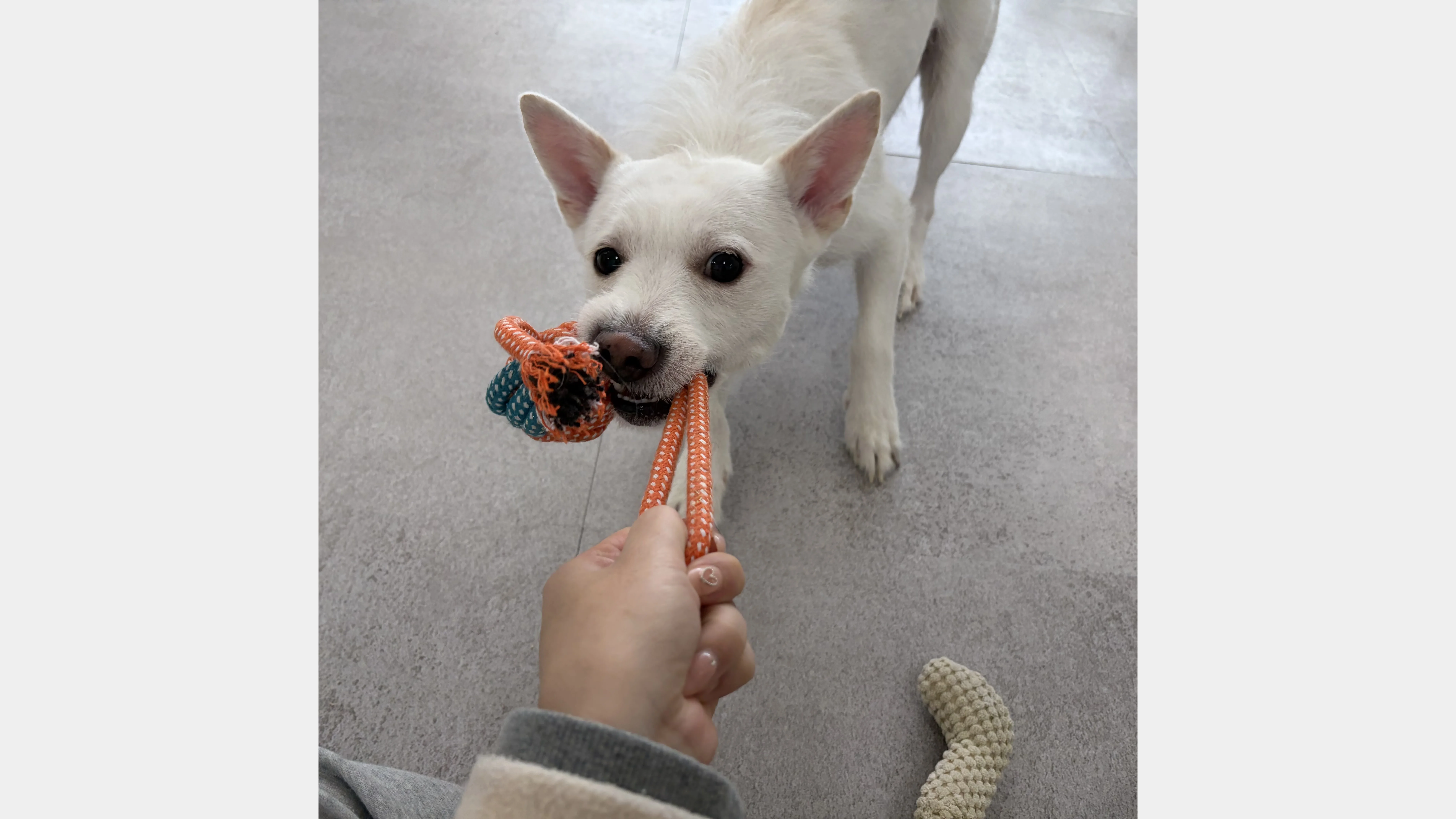 KakaoTalk_20260207_131652108_16