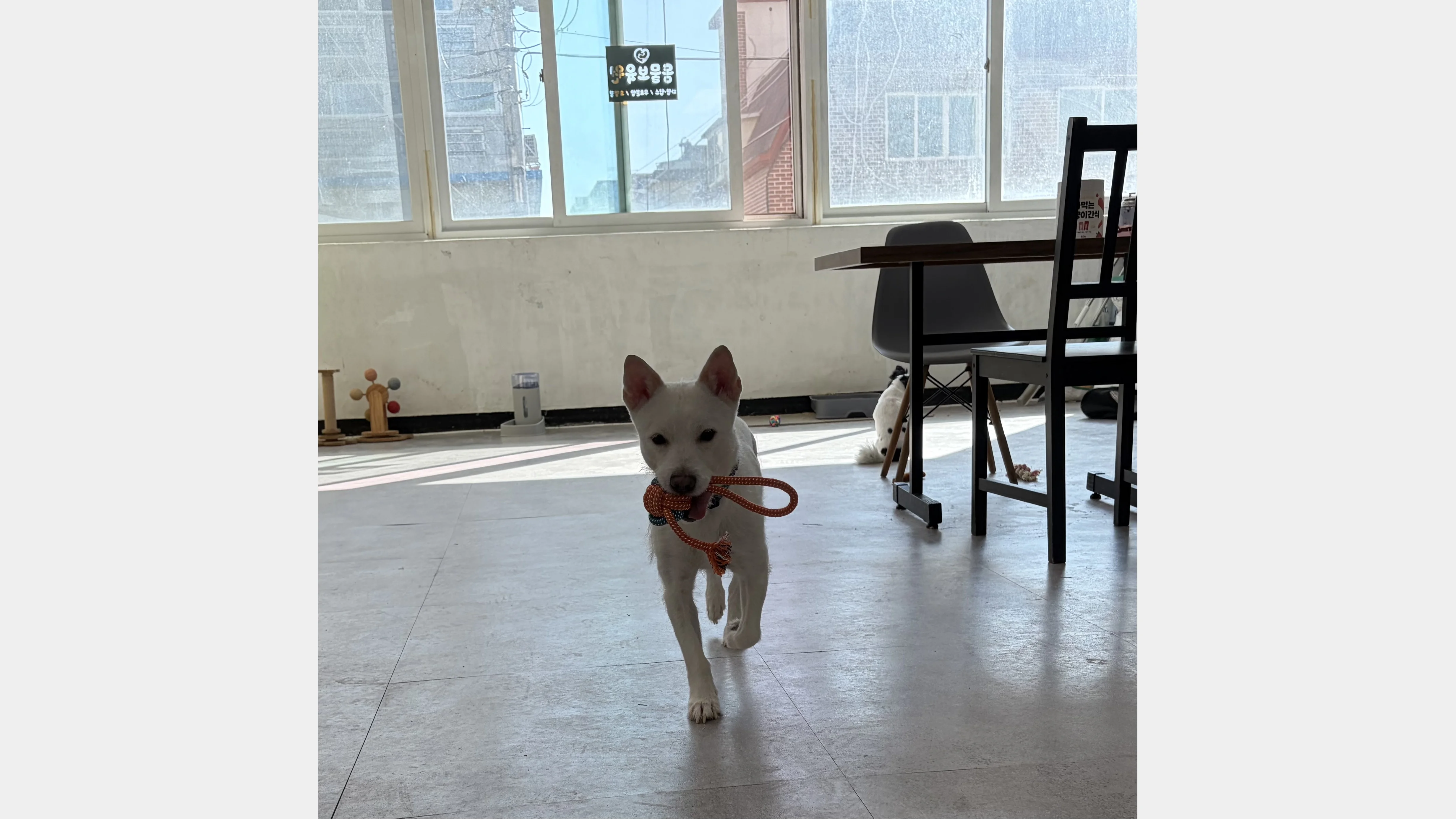 KakaoTalk_20260207_131652108_15