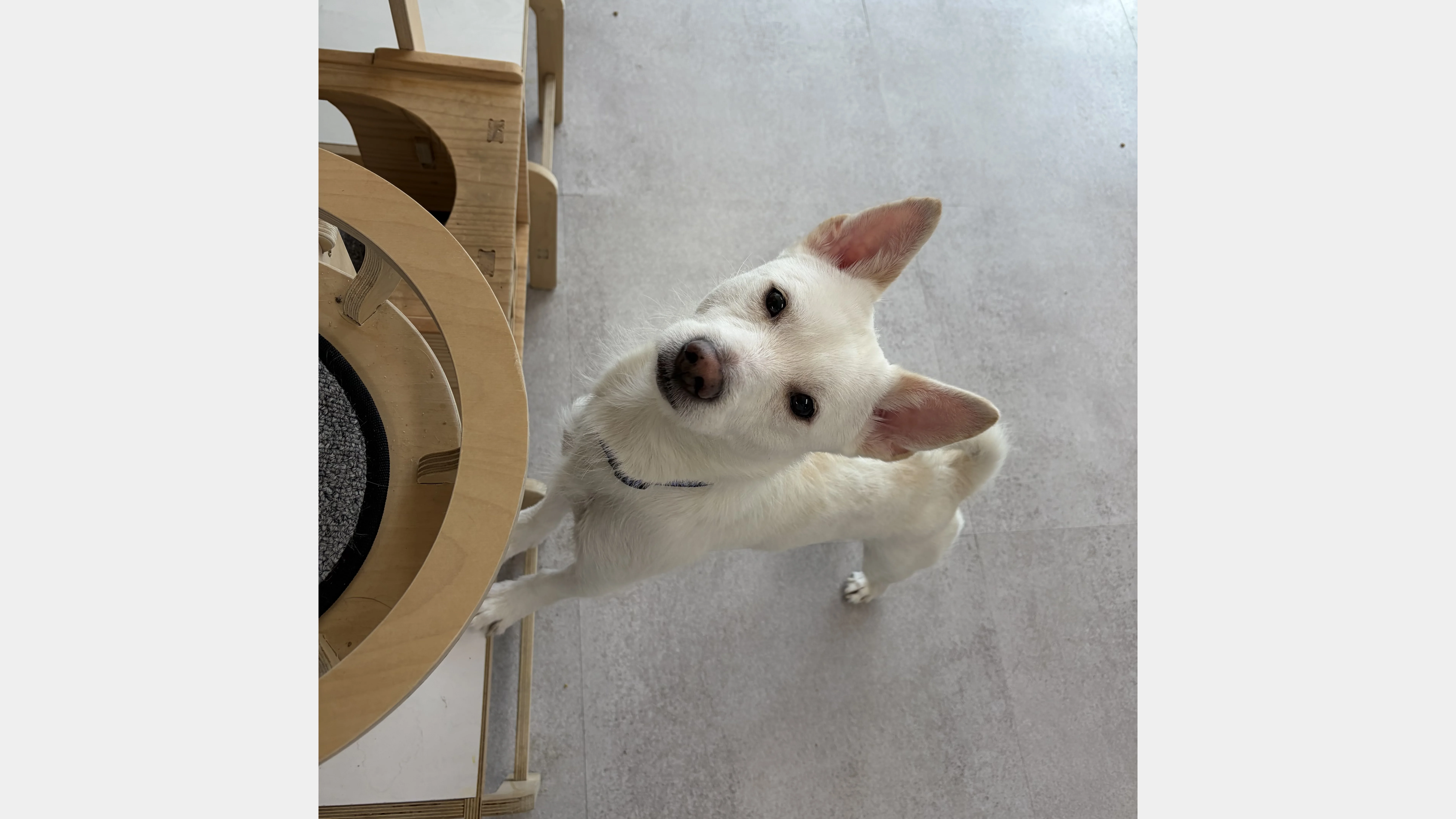 KakaoTalk_20260207_131652108_28