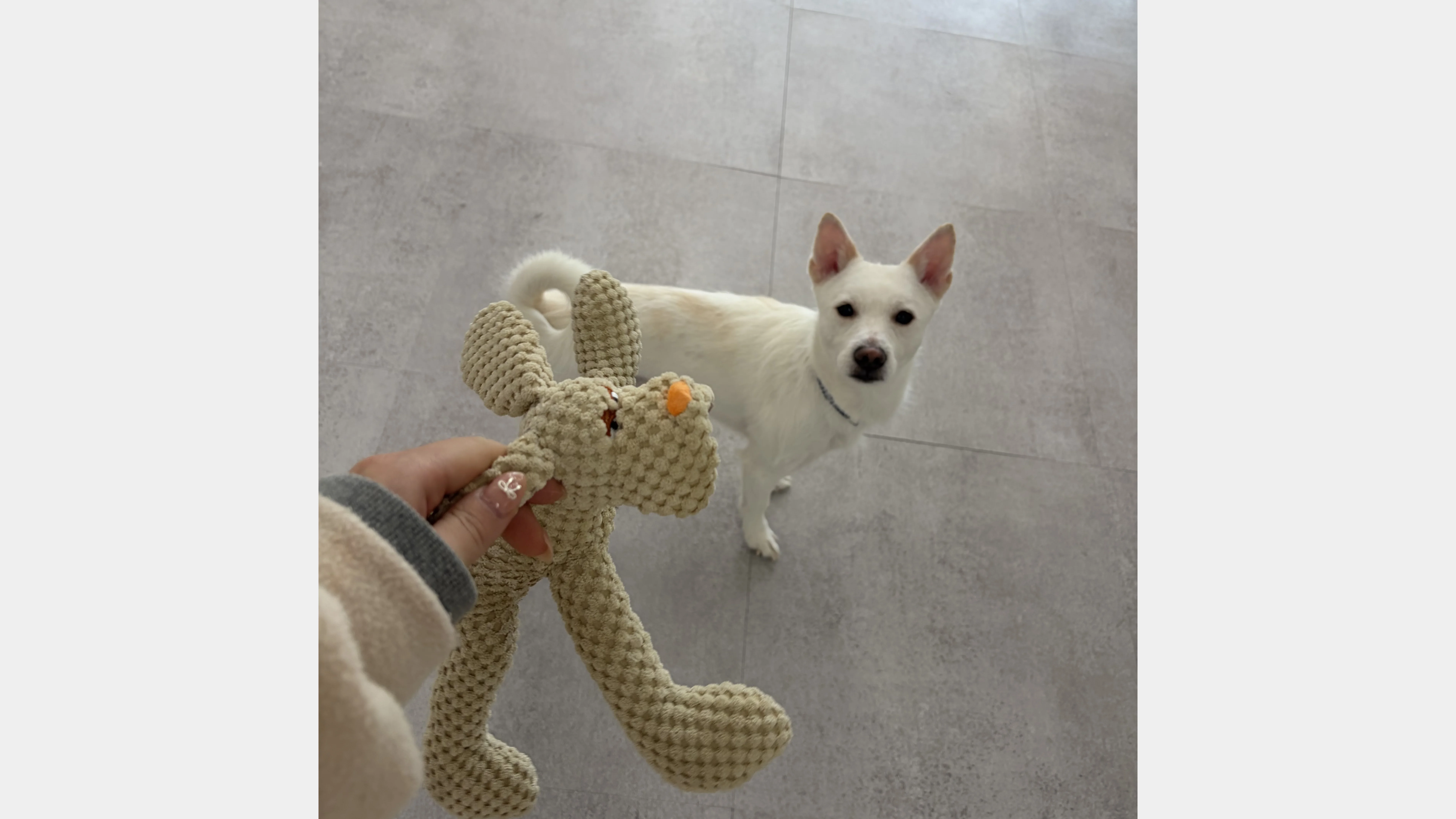 KakaoTalk_20260207_131652108_09