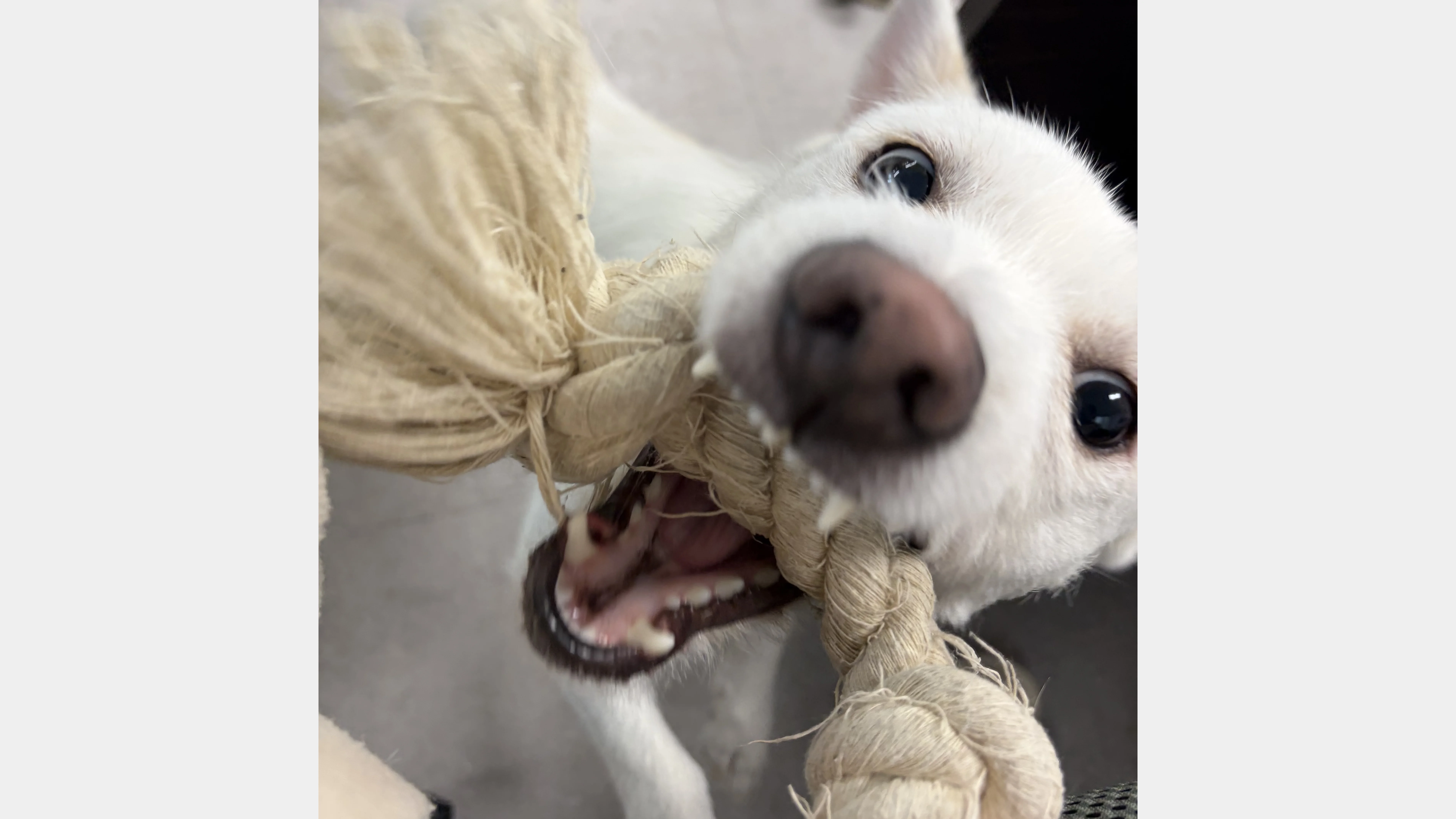 KakaoTalk_20260207_151752470_07