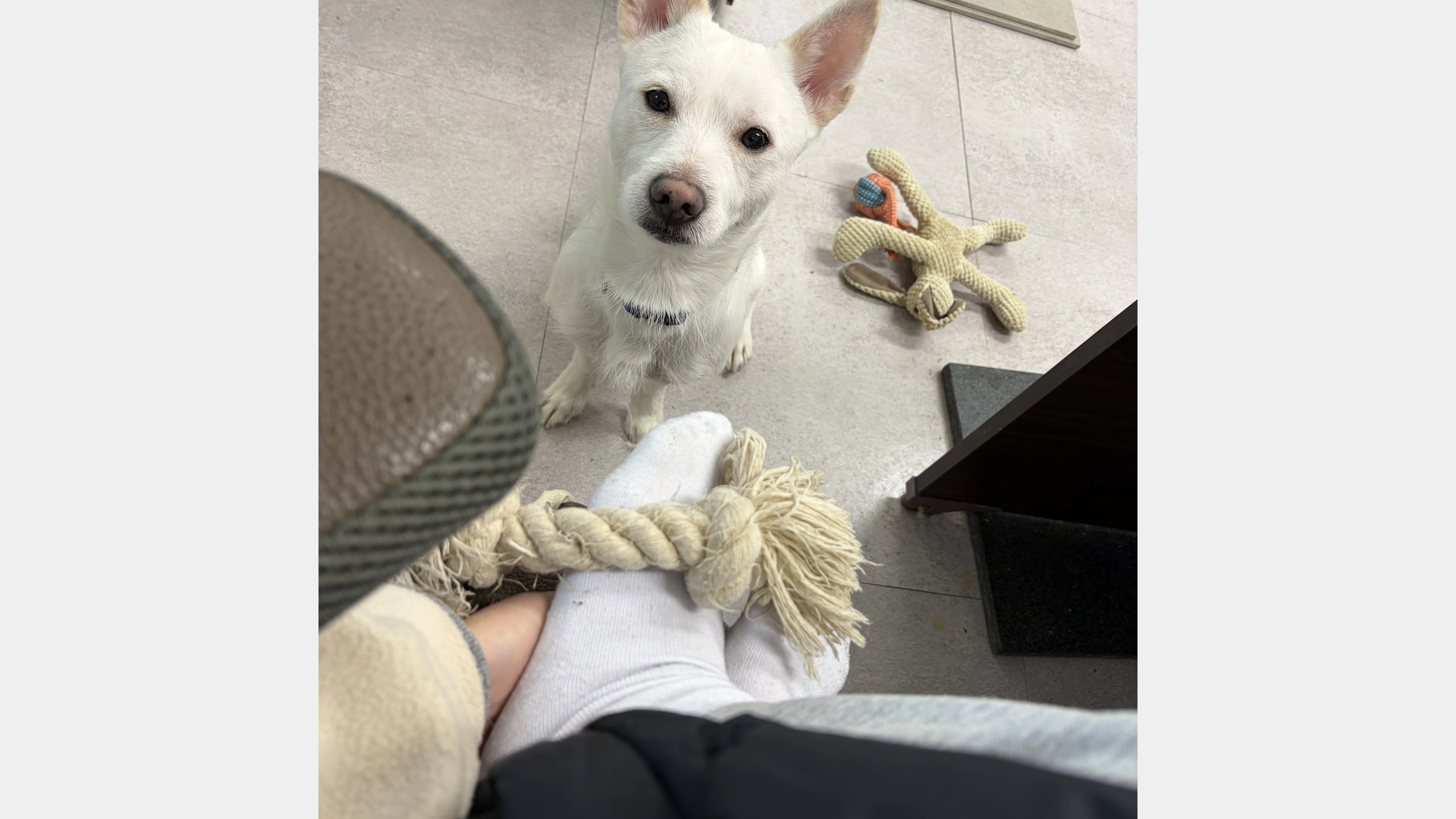 KakaoTalk_20260207_151752470_03