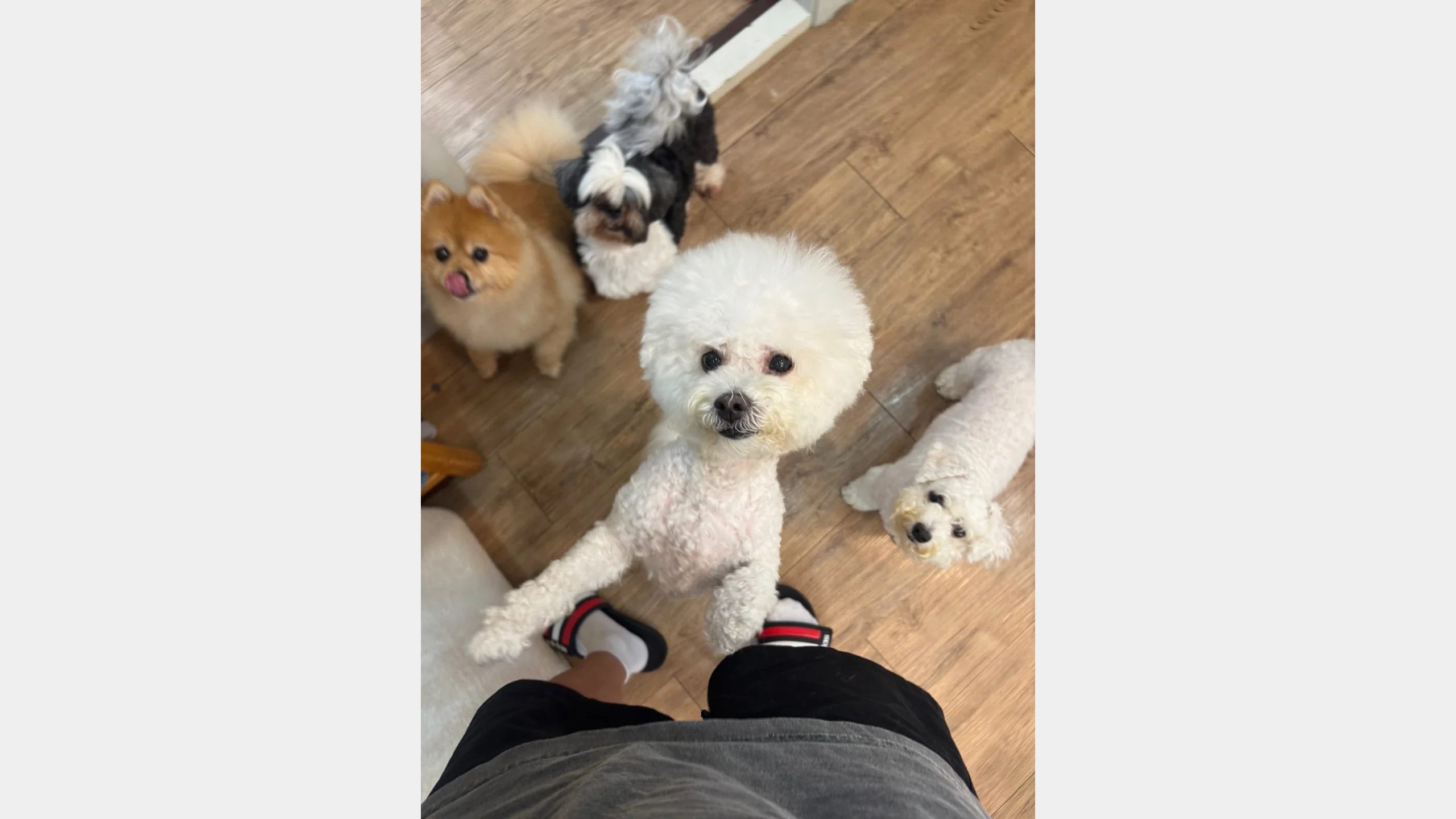 KakaoTalk_20260129_121839839_06