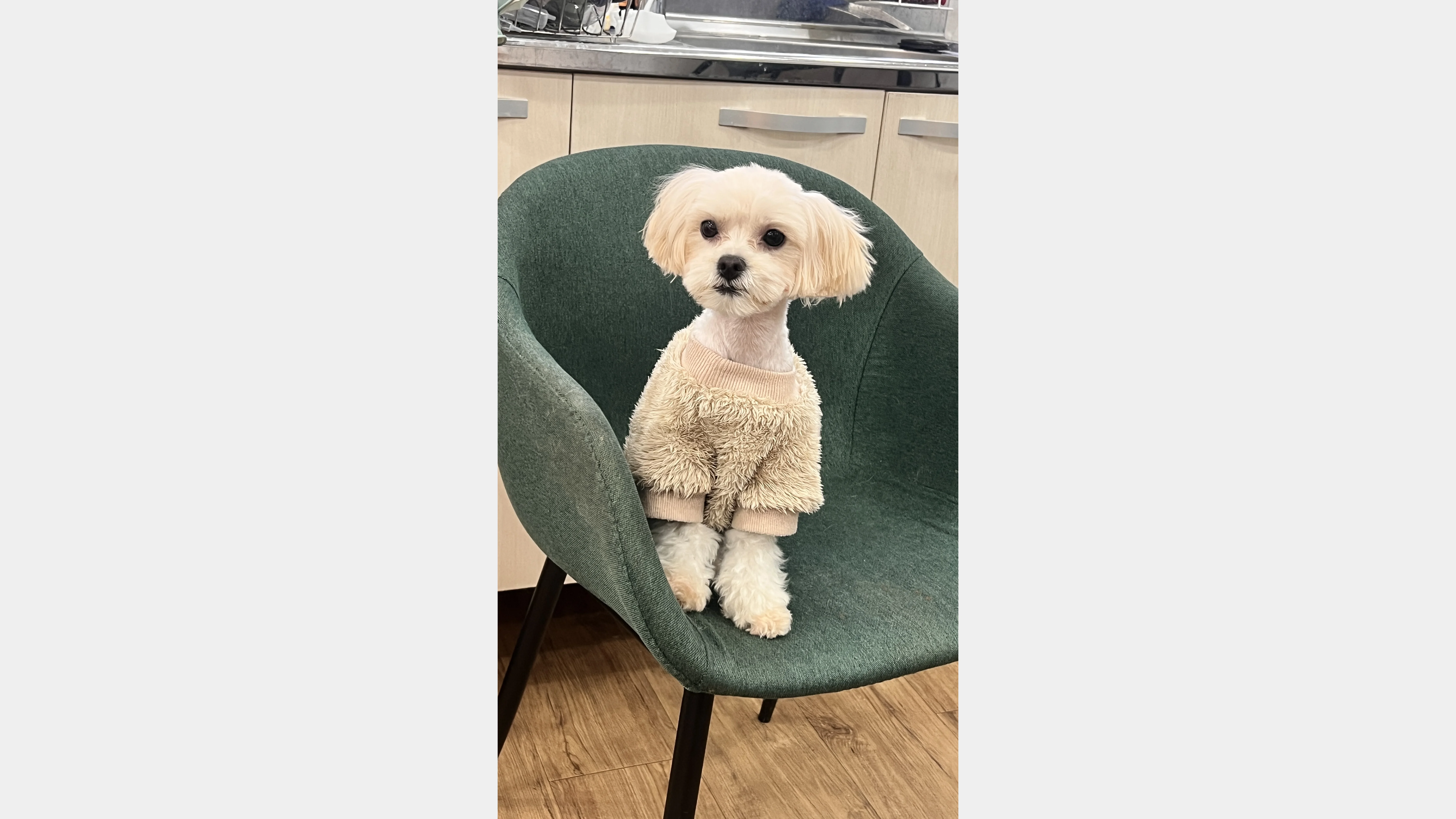 KakaoTalk_20260201_141522410_03