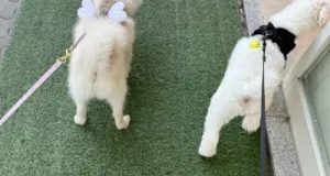 에디터 이미지