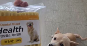 에디터 이미지
